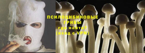 PSILOCYBIN Волоколамск