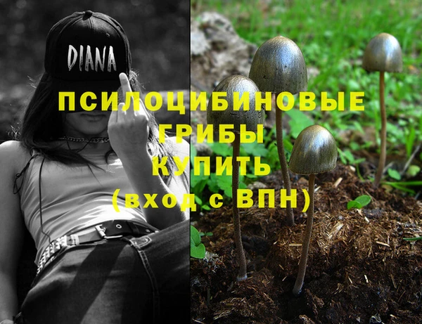 PSILOCYBIN Волоколамск